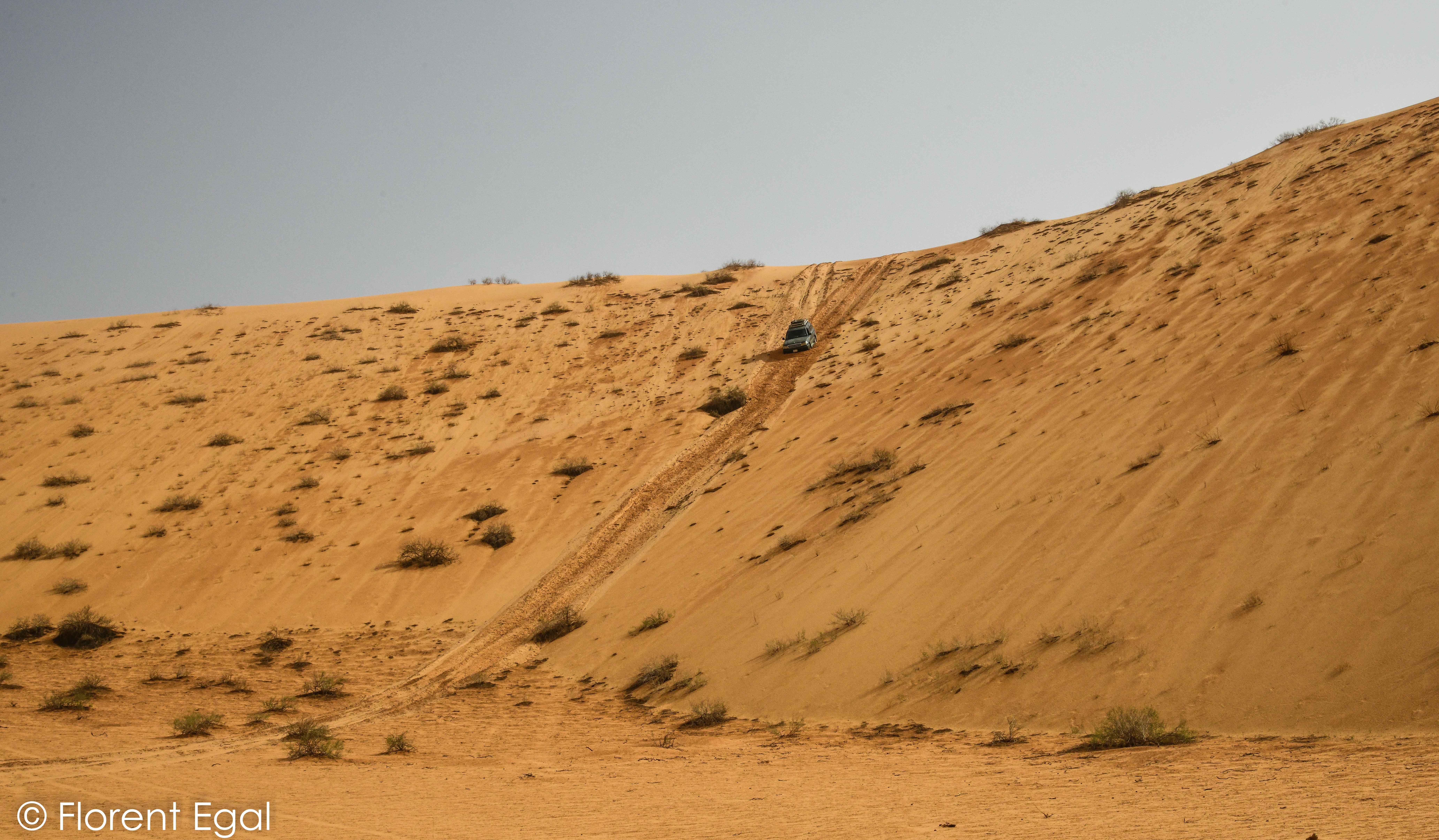 Driving on sand dunes in the Nefud Al-Kebir (photo: Florent Egal)
