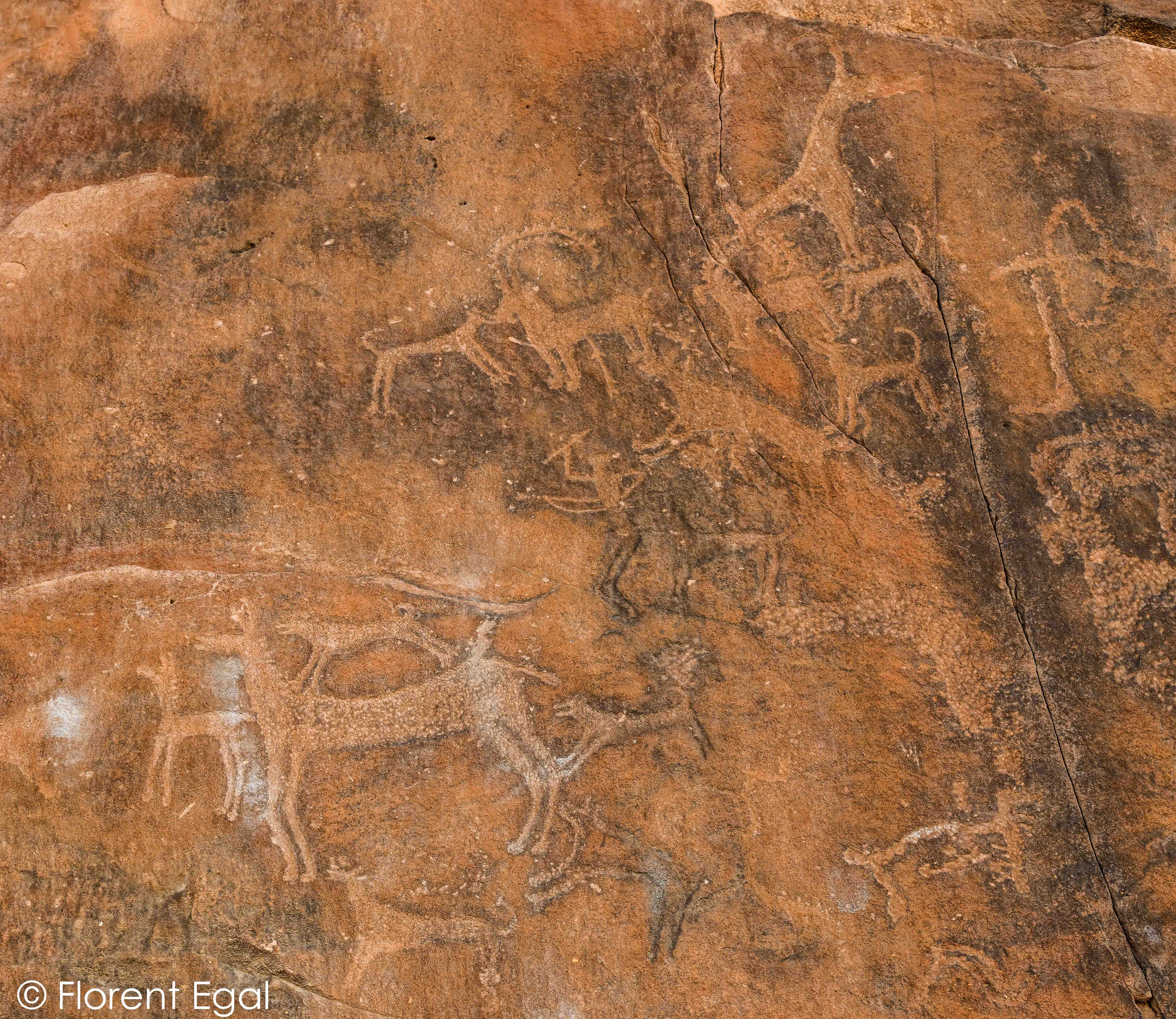 Carvings of hunting scenes on the edge of the Nefud Al-Kebur (photo: Florent Egal)