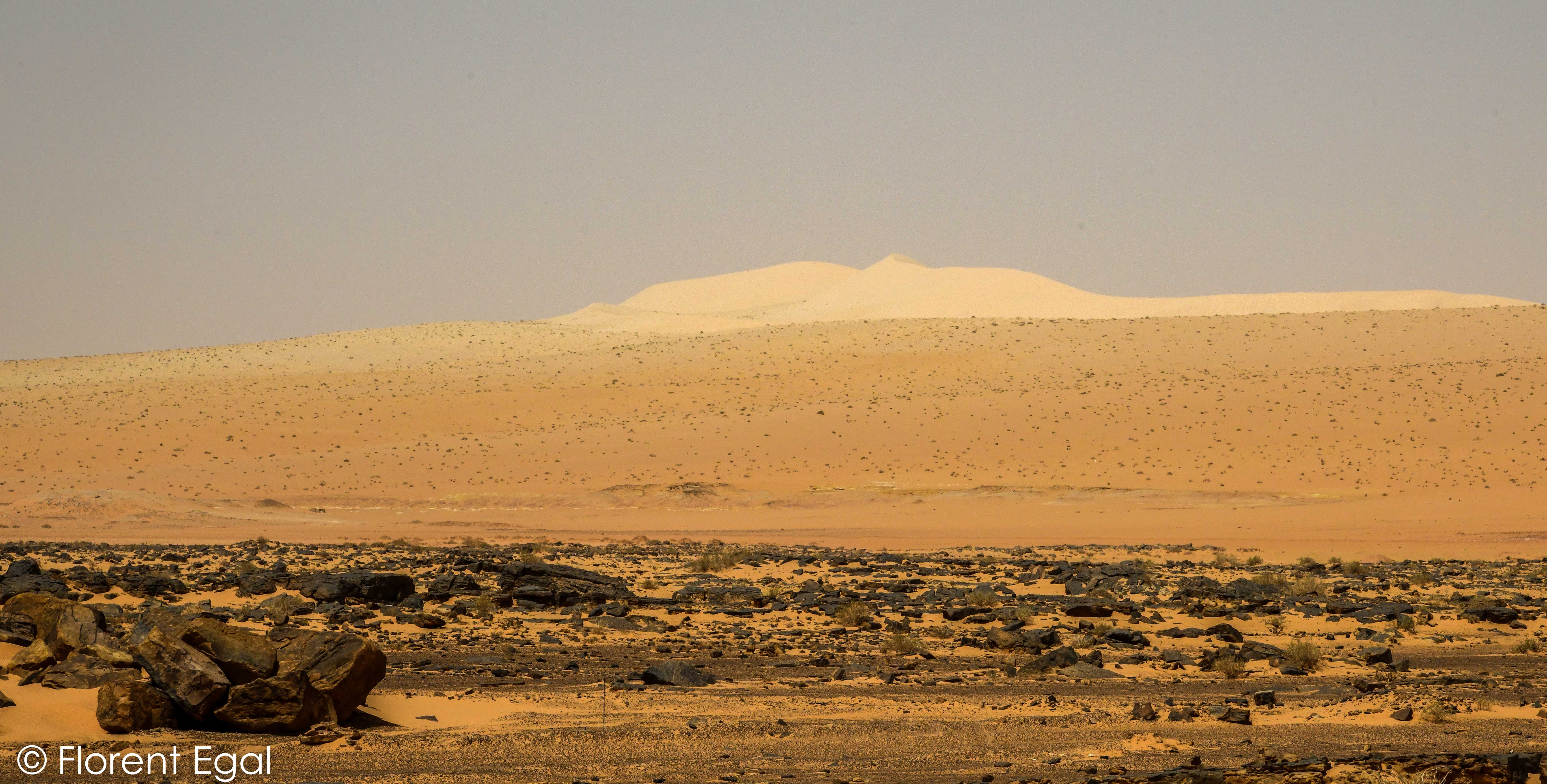 Southwestern edge of the Nefud Al-Kebir (photo: Florent Egal)